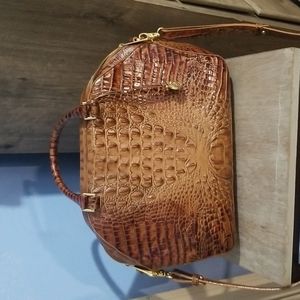 Pecan color Brahmin